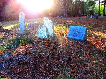 Several graves reside at the remaining Martha's Chapel Cemetery.
