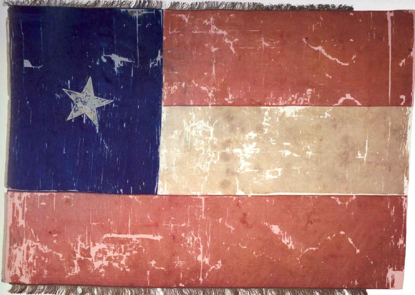 Hood's Texas Brigade Flag