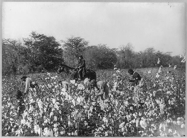 Hendrick and Ware Plantations