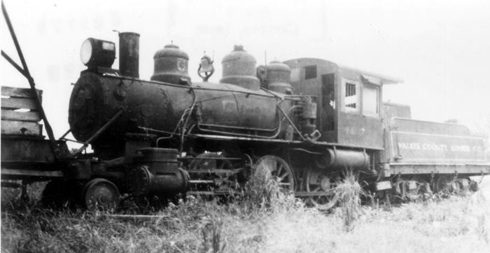 Walker County Lumber Company Train