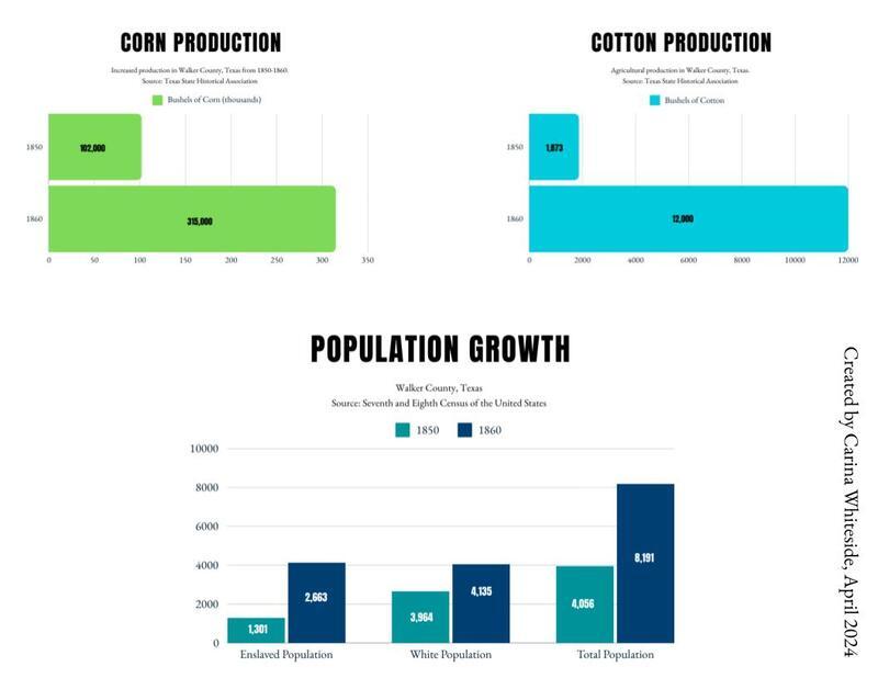Texas State Historical Association and Federal Census Data