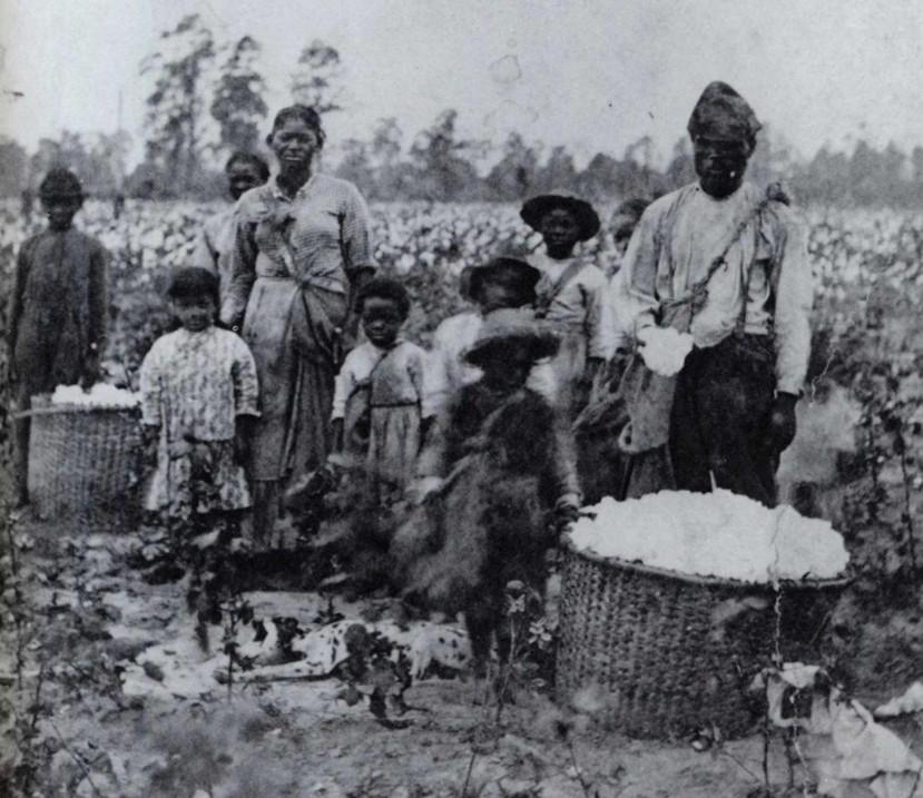 Enslaved People Working in a Cotton Field in Virginia