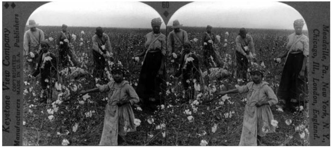 Picking Time, Keystone View Company